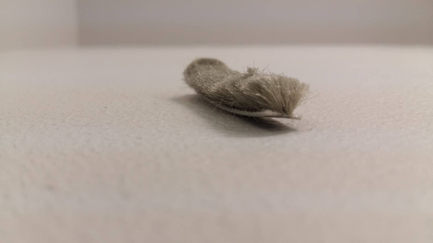 Coupe-froid en brosse fait de polypropylène(vendu au pied) - DEF6-137 | Vosthermos