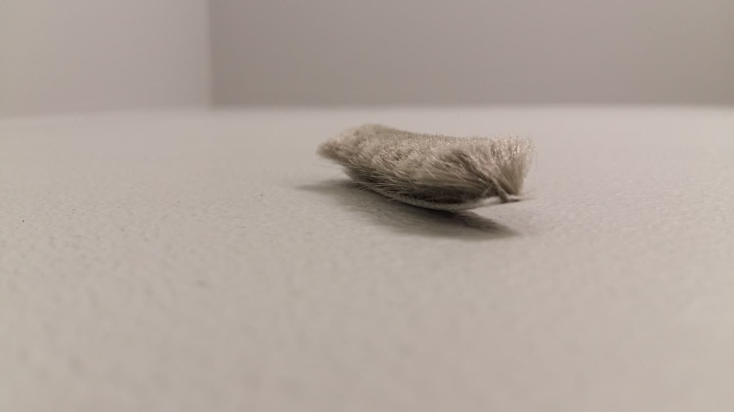 Coupe-froid en brosse fait de polypropylène(vendu au pied) - DEF6-142 | Vosthermos